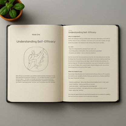 The Challenge Journal: Self-Belief Edition